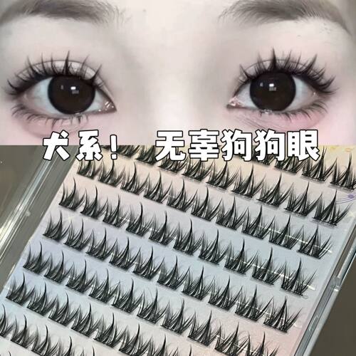 免胶100簇犬系睫~懒人小奶狗