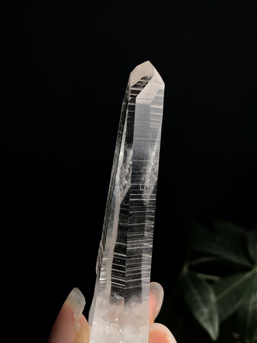 20260340哥伦比亚pb矿区的利姆利亚单晶72/20mm，27.6g，552元