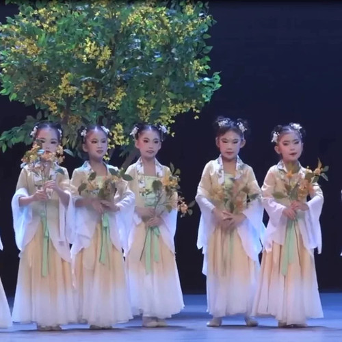 桂花秋意浓古典舞演出服中国舞飘逸衣覃颂小兰花奖少儿群舞剧目服