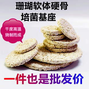 珊瑚基座断肢T型软体SPS海水鱼缸陶瓷圆方形纽扣繁殖造景