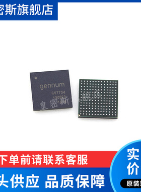 GV7704-IBE3 GV7704 BGA-169 视频监控 全新原装