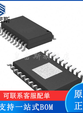 OPA569AIDWP OPA569A OPA569 功率运算放大器 SOP-20 全新原装