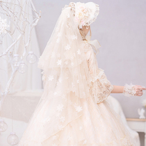 Moonlight dance cat family handmade Lolita headdress flower wedding headdress