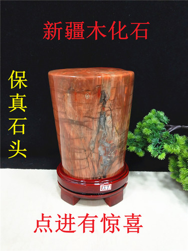 包邮天然新疆木化石奇石原石