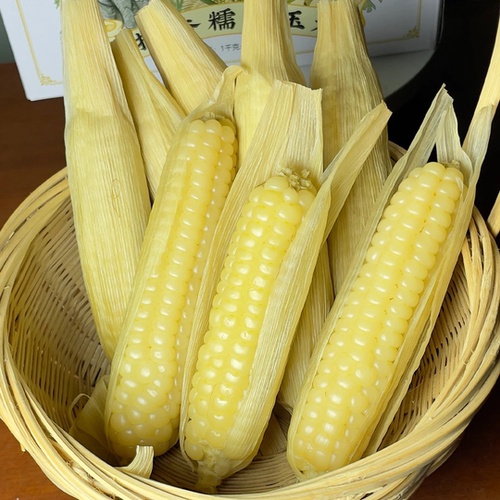 西双版纳带皮拇指小玉米现摘现发
