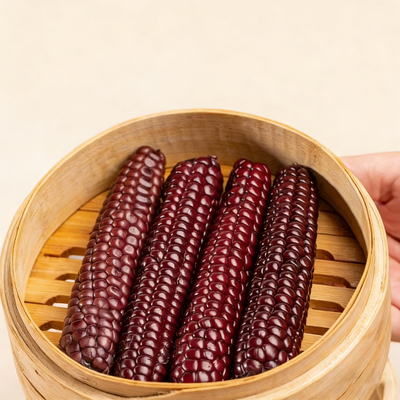 西双版纳紫糯拇指玉米非转基因