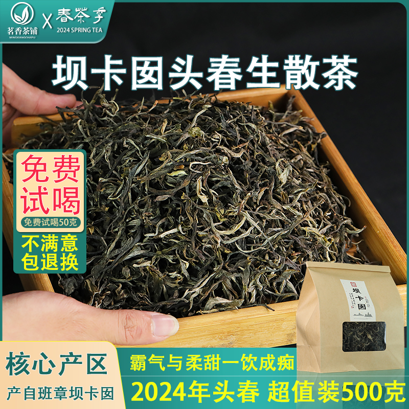 云南普洱茶生茶散茶特级生普班章五寨坝卡囡2024年新散茶500g袋装