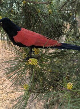 新款仿真红毛鸡羽毛鸡装饰工艺景观橱窗园林演示场景布置摆件道具