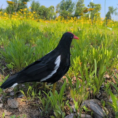 纯手工羽毛粘贴制作厂家质量放心