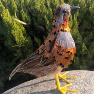 仿真羽毛竹鸡动物模型道具园林户外装饰教学摆件影视展厅工艺品