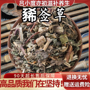 豨莶草饮中药材片新鲜干货非野生可打粉稀莶草签草肥猪草茶稀签草