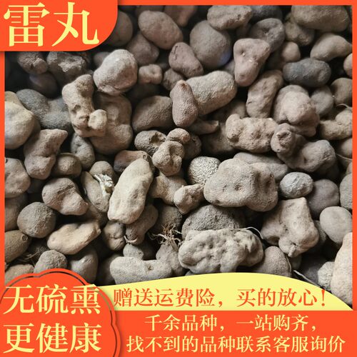 精选雷丸中药 正品新货500克包邮 精选竹林子 雷实 木连子