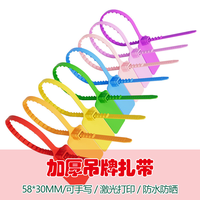 一次性塑料封条物流吊牌挂签标识牌大号标牌扎带电缆标签牌定制