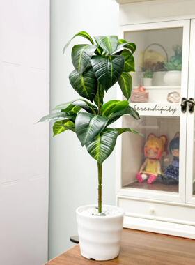 BJD SD小布blythe娃屋配件绿植盆栽仿真植物盆景娃娃拍照道具背景