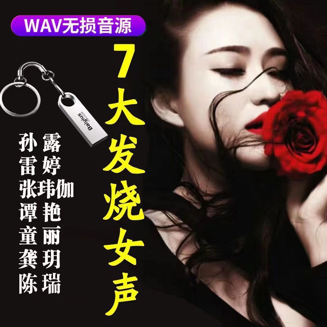 车载WAV无损格式发烧男声音乐U盘低音炮赵鹏陈宁钟明秋江智民试音