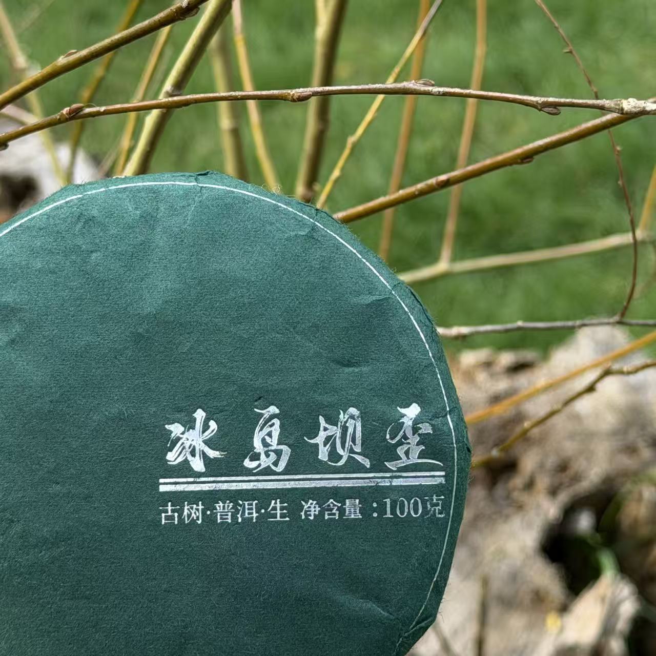 冰岛坝歪100g生茶2021年春茶正山古树纯料云南普洱茶饼茶顺丰包邮