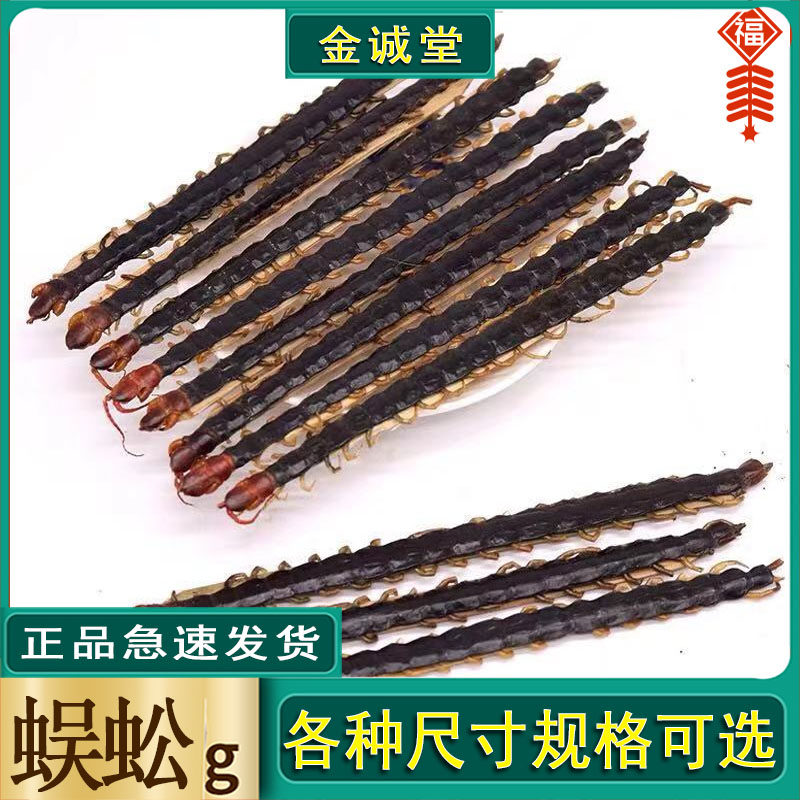 农产品食材蜈蚣千足虫百脚湖北红头蜈蚣11-12公分有小中大条百足