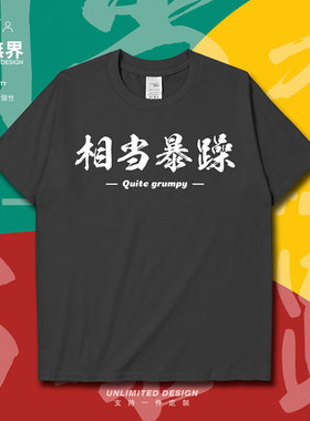 相当暴躁网络流行词汇ins风短袖T恤男女文字简约夏季0005设 无界
