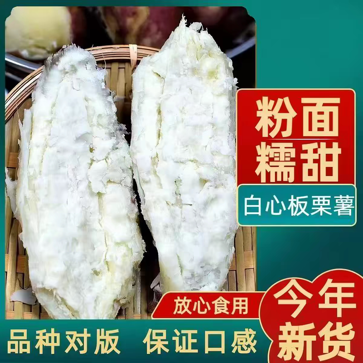 南阳商薯19白心板栗薯新鲜现挖白瓤地瓜农家粉糯香甜干面白心红薯图片
