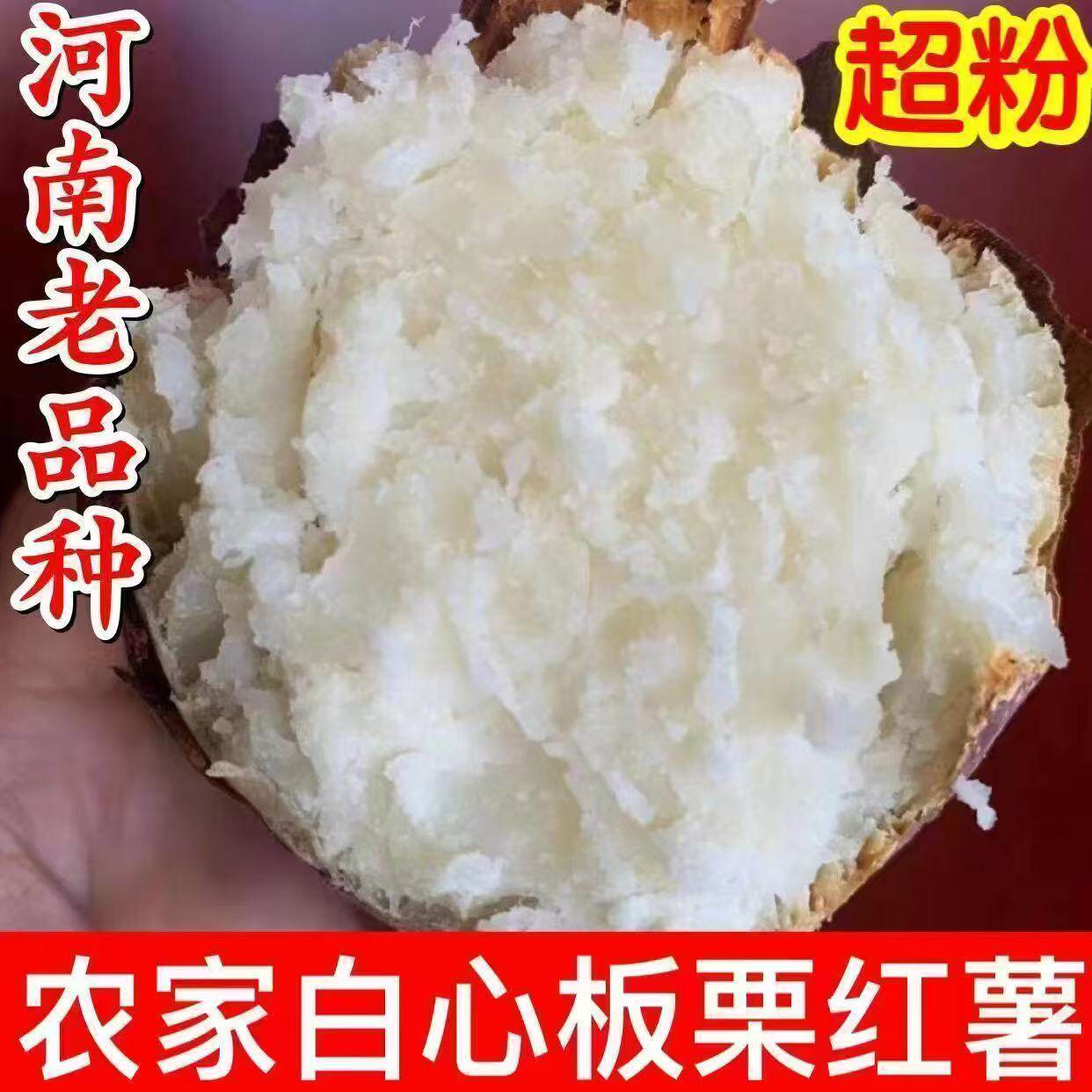 白心板栗薯新鲜红薯栗子香白薯白瓤地瓜红皮白心红薯干粉番薯