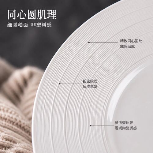 12 Inch Large Ceramic Steak Plate, Round Western Dinner Flat