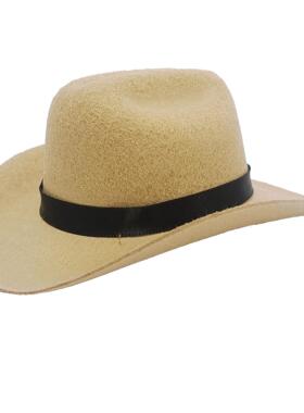 Mini pet cowboy hat 迷你宠物牛仔帽