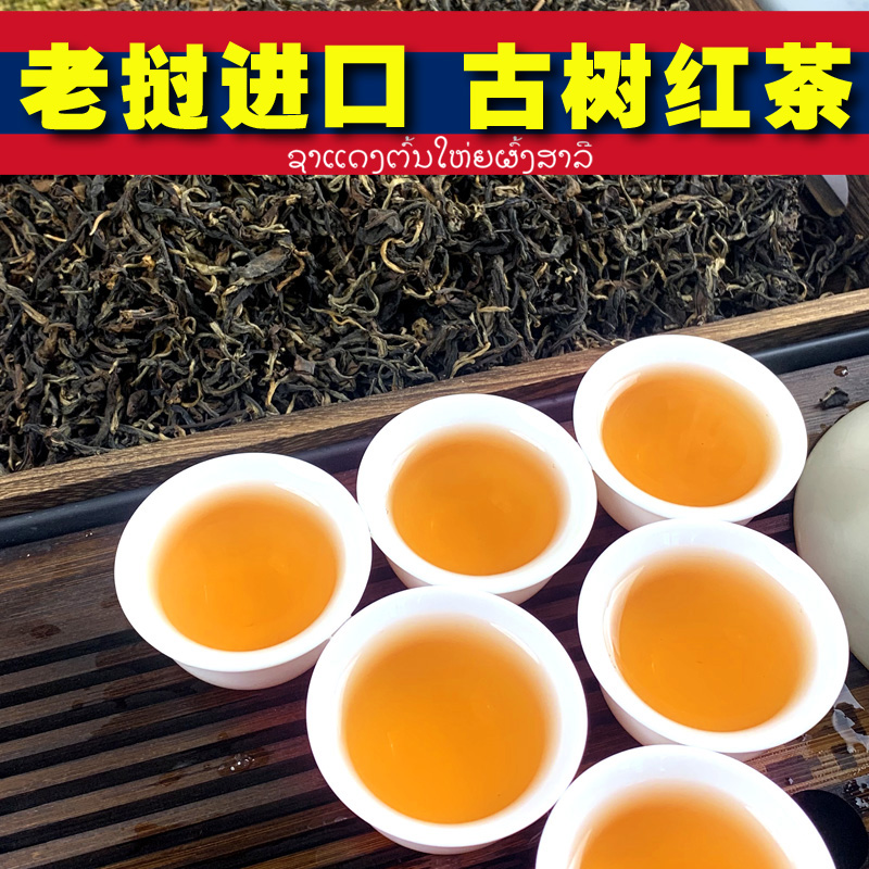 古树红茶红茶耐泡400年树龄