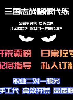 三国志战略版代练开荒霸榜专业配将日常控号打野S1S2S3S4S5S6PK