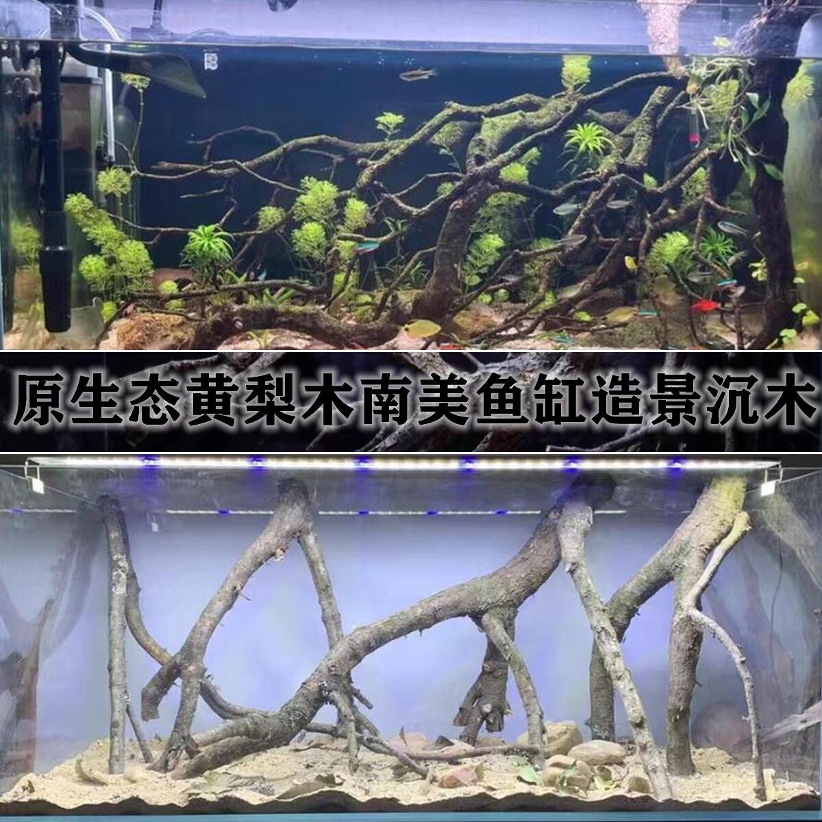 黄梨木香槟木黄栎木鹿角枝原生态南美雨林鱼缸造景一体多枝沉木