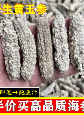 野生黄玉参干货淡干海参