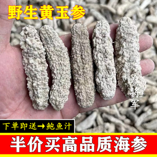 野生黄玉参干货淡干黄肉海参白黄玉刺参500g非进口水发无添加参