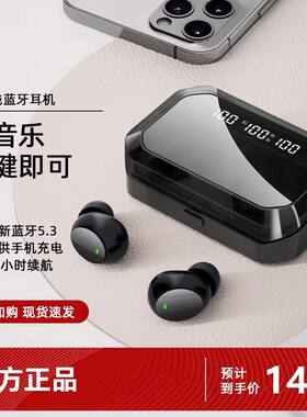 美国适用索尼蓝牙耳机入耳式双耳重低音无线 线游戏超长待机降
