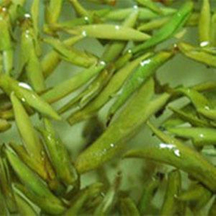 2026年新茶绿茶春茶 明前霍山头采黄芽黄牙茶叶250g包邮