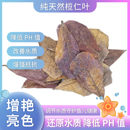 榄仁叶斗鱼专用降低PH值改善水质