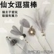 猫玩具逗猫棒自嗨仙女逗猫棒长杆耐咬羽毛带铃铛逗猫玩具猫咪用品