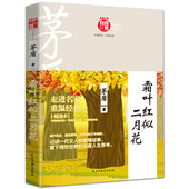 名家小说自选集—霜叶红似二月花 茅盾著书籍