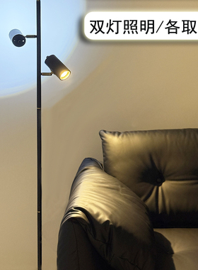 北欧轻奢创意极简客厅双头可调节落地灯卧室书房沙发样板房立式灯
