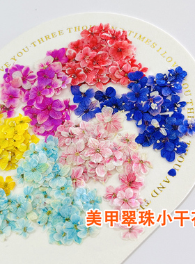 美甲日式ins翠珠小干花