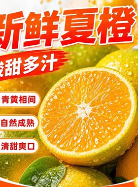 湖北秭归脐橙夏橙26年新鲜当季新鲜水果薄皮手剥榨汁橙子现摘酸甜