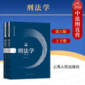 刑事立法司法解释 社 第6版 上海人民出版 刑法学大学本科考研教材 犯罪论刑罚概念罪刑 刑法学研究 刘宪权 上下册 刑法学第六版 正版