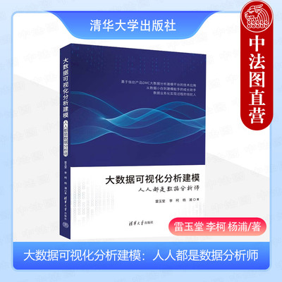 正版 大数据可视化分析建模：人人都是数据分析师 雷玉堂 李柯 杨浦 清华大学 工作表管理 可视化图表创建 数据大屏制作 数据建模