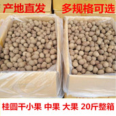 正宗新货莆田桂圆干火锅底料小桂圆肉厚小中大个桂圆20斤整箱批价