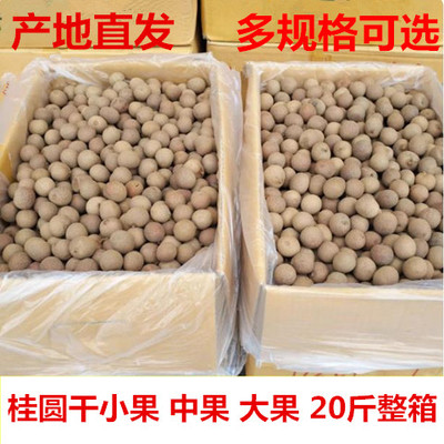 正宗新货莆田桂圆干火锅底料小桂圆肉厚小中大个桂圆20斤整箱批价