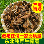 东北野生榛蘑干货小鸡炖蘑菇黑龙江蘑菇野生菌菇干榛蘑纯野生榛菇