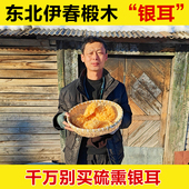 东北椴木银耳银耳干货优质银耳干正宗易出胶段木银耳野生椴木银耳