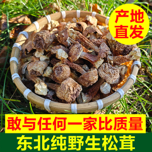 东北野生松茸姬松茸姬松茸菇干货黑龙江新货姬松菇煲汤天然原色