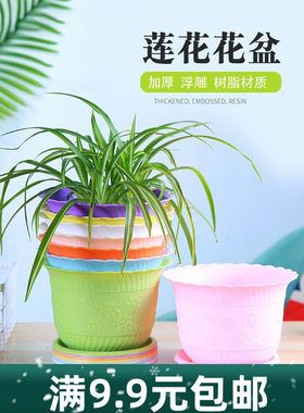 波浪花边加厚树脂花盆水培碗莲盆彩色塑料花盆特大号阳台盆送托盘