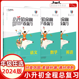 2024版一飞冲天小升初全程总复习语文数学英语人教版精通版部编天津中考毕业升学系统总复习资料专项训练辅导书知识大集结教辅书