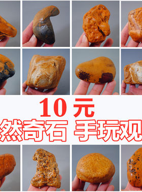 黄蜡石天然手玩奇石原象形玉石籽料观赏风水把玩招财摆件造景家居