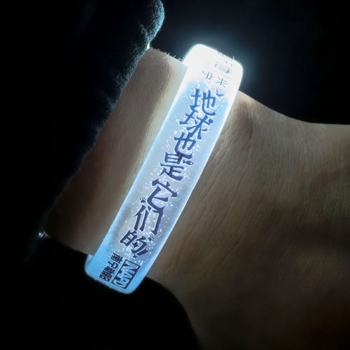 海之光发光手环电子LED定制logo
